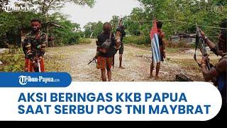 SEMAKIN BERINGAS, KKB Papua Serbu Pos TNI Maybrat