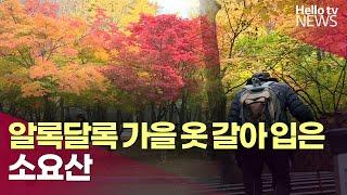 알록달록 가을 옷 갈아 입은 소요산 | #헬로tv뉴스