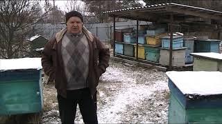 УЛЬИ И РАМКИ/ ДЕЛАТЬ САМОМУ ИЛИ КУПИТЬ