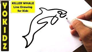 Killer Whale Line Drawing for Kids - YoKidz