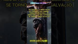 Confiarei e não temeirei#versiculodiario#versiculosbiblicos#versiculodehoje#palavradeDeus#biblia#fe