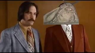 I love Lamp (Moth Meme)