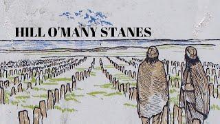 Hill O' Many Stanes | Neolithic Age | History of the World | Caithness | Scotland | Before Caledonia