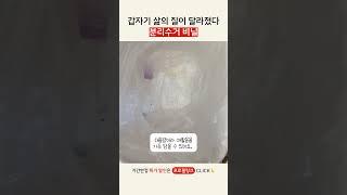 갑자기 삶의 질이 달라졌다 분리수거 비닐 #재활용쓰레기 #재활용쓰레기정리 #분리수거 #분리수거봉투 #생활팁 #리빙픽