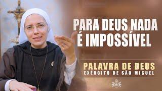 Para Deus nada é impossível (Mt 19,23-30) Palavra de Deus #370 | 16/08 | Instituto Hesed