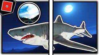 How to get "AIRCRAFT SHARK" BADGE + MORPH/SKIN in TREVOR CREATURES NEW! - Roblox