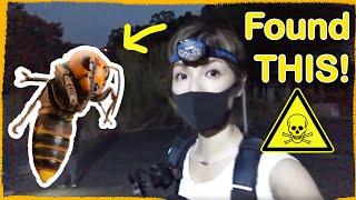 Taiwan Urbex to Abandoned Temple- Found Asian Giant Hornet Nest