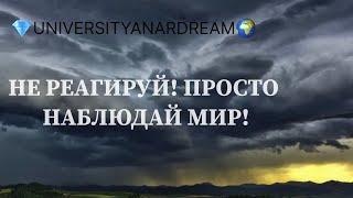 ТРЕНИРУЙ ЭТО КАЖДЫЙ ДЕНЬ В СВОЕМ ДНЕ. Здесь твоя Сила и Истинная Природа! Урок 5.