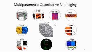 SRRF 'n' TIRF - simultaneous spatiotemporal super-resolution and multi-parametric fluorescence...