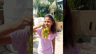 papa mamma #shortsvideo #youtubeshorts #youtubevideos #tusivlog