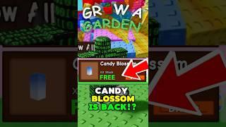  NEW *GET* CANDY BLOSSOM SEEDS?! (ITS BACK) | Grow a Garden Update GLITCH SECRET! #growagarden