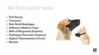 Pet First Aid