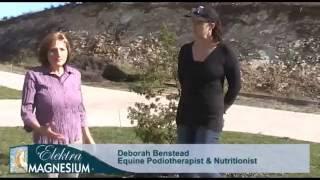 Magnesium for Horses: Part 1