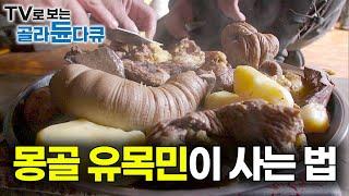 세상에서 가장 혹독한 몽골 최북단 시베리아에서 유목민이 살아남는 법｜다큐프라임｜#골라듄다큐