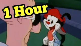 Animaniacs- What are We? [1 Hour]