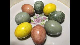 SUPER! We paint eggs WITHOUT onion peels using natural dyes: turmeric, hibiscus and beetroot juice!