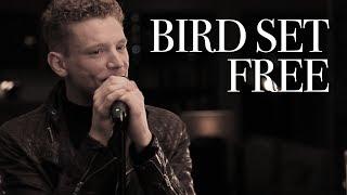 Aidan Martin - Bird Set Free - Sia - Cover