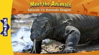 Meet the animals 72 | Komodo Dragon | Wild animals | Animated stories For kids