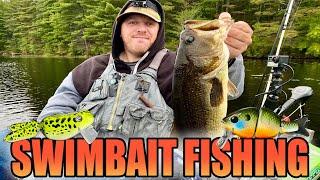 Swimbait Fishing For Bass Using Hard Body Swimbaits - MTL Baits