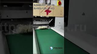 Горизонтально упаковочная машина. Упаковка доширака