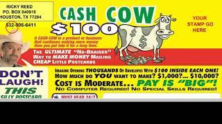 *Cash Cow $100*, Cash gifting programs, Millionaire Mailer, Club cash fund, Leveraged profit systems