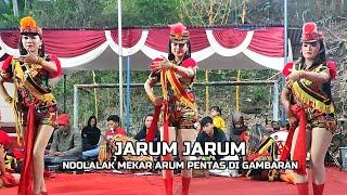 JARUM JARUM DOLALAK TERBARU MEKAR ARUM DI GAMBARAN KALIWIRO WONOSOBO NDOLALAK TERBARU