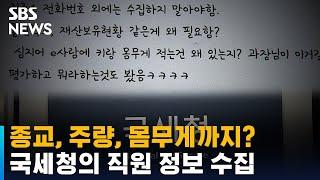 국세청의 황당한 직원 정보 수집…감사원 실태 점검한다 / SBS