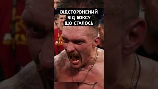 ️Усик Відсторонений від Боксу | В чому причина #shorts