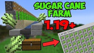 How to Build: Automatic Sugar Cane Farm | Minecraft 1.19+