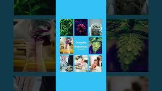 Cannabis Can Help With Relaxation - Escape The Matrix #shorts #wellness #bloomble