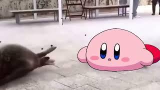 Bouncing Kirbys