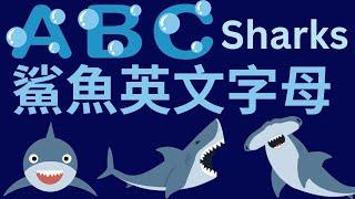 鯊魚 ABC | 寶寶英語教學｜幼兒英文字母發音｜兒童英文學習｜中英文單字｜雙語教育｜Shark Alphabet | Shark ABC