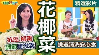 【健康好生活 超精彩回顧】秋冬當令「防癌寶」 蔬菜之王「花椰菜」 ///鮮魷藕粉椰菜羹  金莎櫻花蝦綠花椰