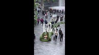 Check out Tatler's curated displays at Jewel Changi Airport