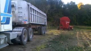 Chopping Corn With Twin Oaks Dairy Farm