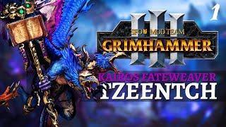 BIRD IS THE WORD | SFO Old World - Total War: Warhammer 3 - Tzeentch - Kairos Fateweaver #1