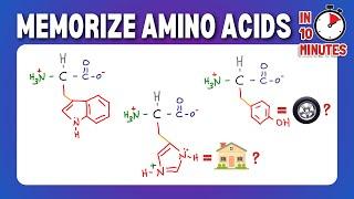 Memorize and Draw the 20 Amino Acids