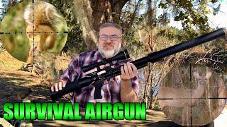 PCP Airguns for Survival: Theory and Application