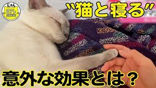 【猫の寝床】人が一緒に猫と寝ると？大学生が研究論文を発表