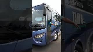 Big bus pariwisata - Sewa Rental Mobil Banyuwangi - https://www.transjavanesia.net/