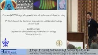 From Notch signaling to robust developmental patterning