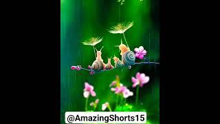 MOST BEAUTIFUL SNAIL COUPLE AND PEACEFUL NATURE #shorts #nature AMAZING SHORTS | #amazingshorts 