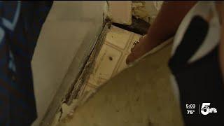 Family scramble to find new place to rent after discovering black mold