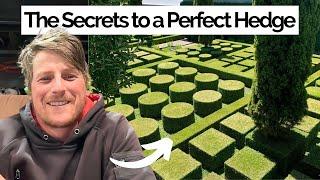 How To Cut Perfect Hedges & Attract The Clients Who’ll Pay For It