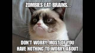 Grumpy Cat memes