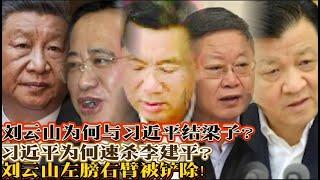 习近平为何与刘云山结梁子？习近平为何速杀李建平？刘云山左膀右臂被剪除！