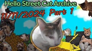 Yoyos Little Calico Kitten Blessed with Chicken Treats! Hello Street Cat Archive  11/11/24 Pt 1