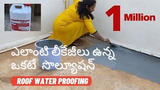 Water Proof Paint for terrace || Water Proofing Procedure || Fosroc Brushbond RFX paint