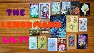 Everything you need to know about the Petit Lenormand Lily card!