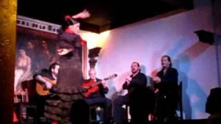 Flamenco! (part 3)